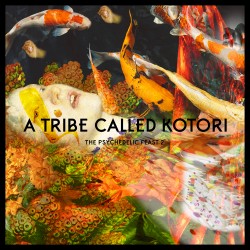 Cover Artwork Various Artists  – A Tribe Called Kotori - Chapter 2