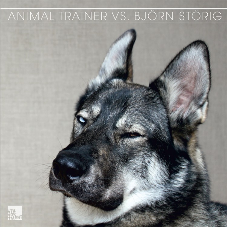 Animal Trainer vs. Bjoern Stoerig —