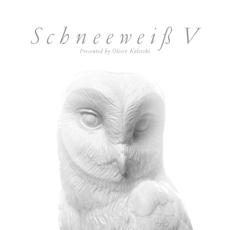 Various Artists — Schneeweiß V