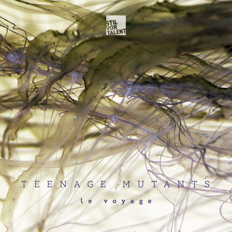 Teenage Mutants — Le Voyage