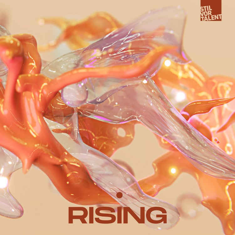 Various Artists  — Stil vor Talent RISING